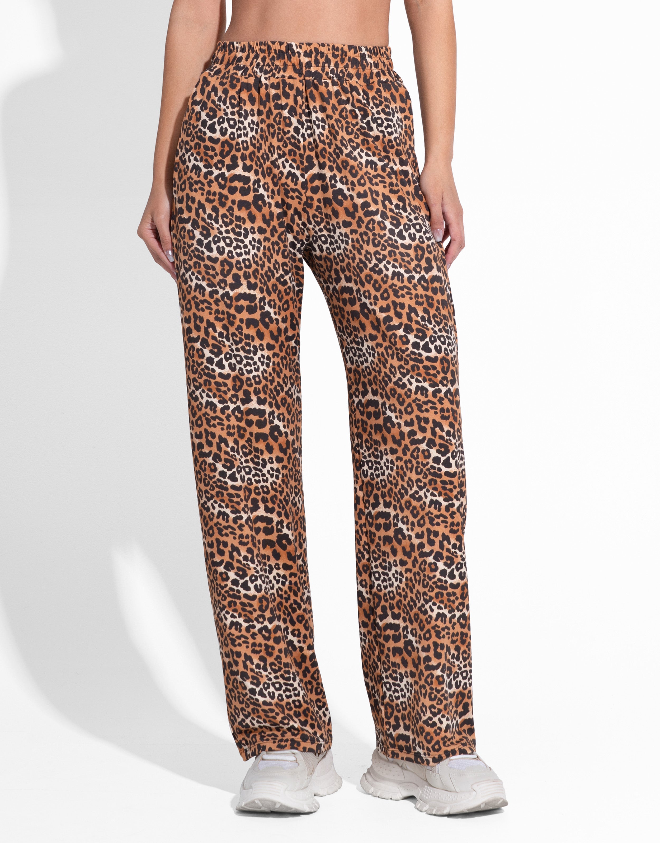 LEOPARD RECTO