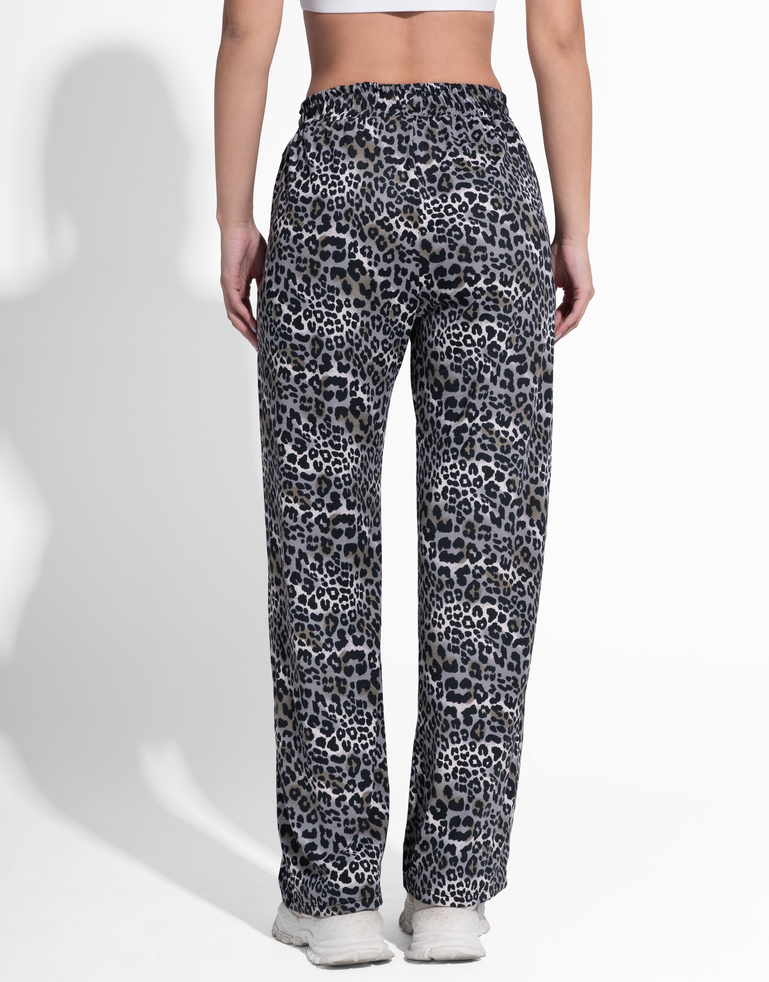 GREY LEOPARD RECTO