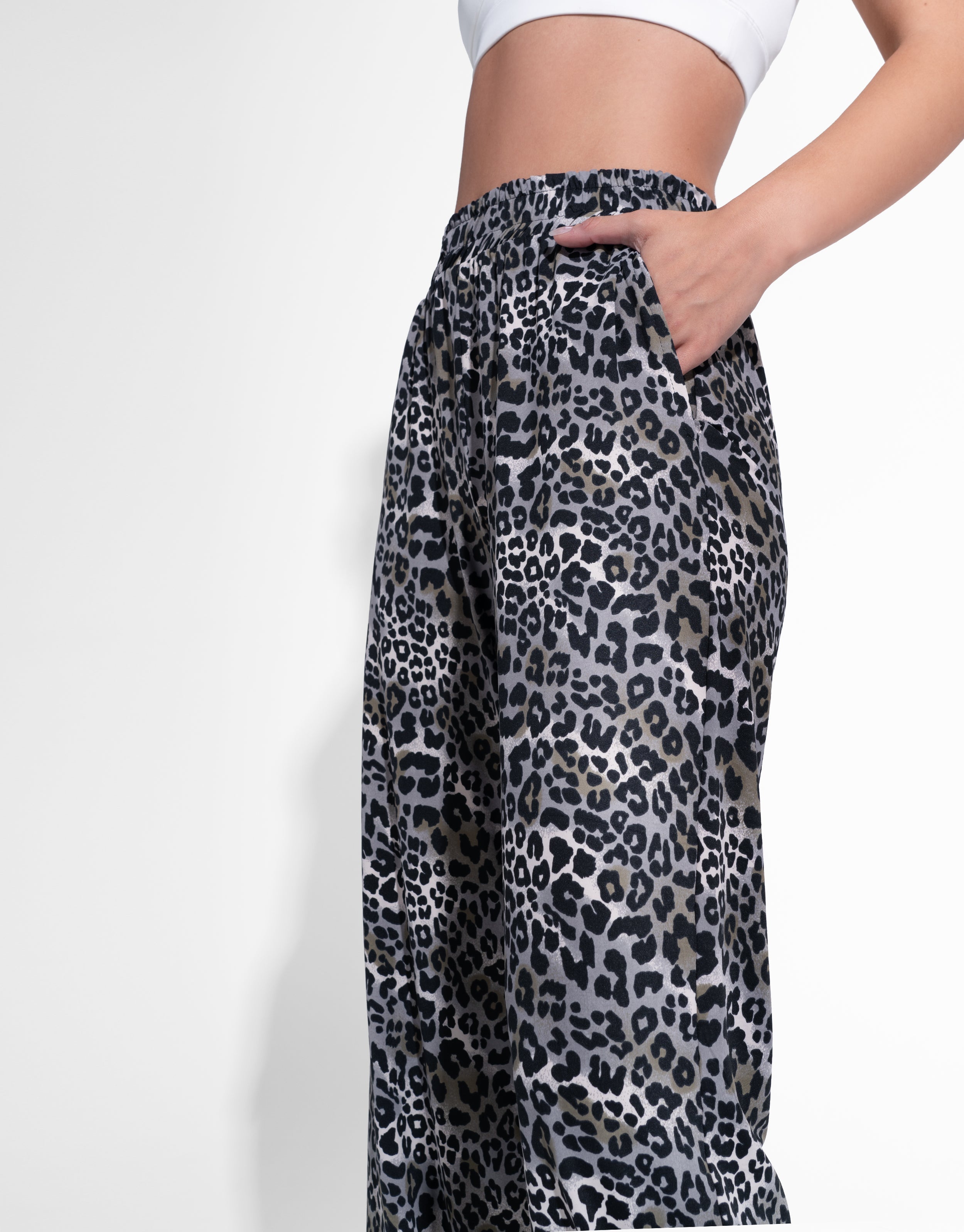 GREY LEOPARD RECTO