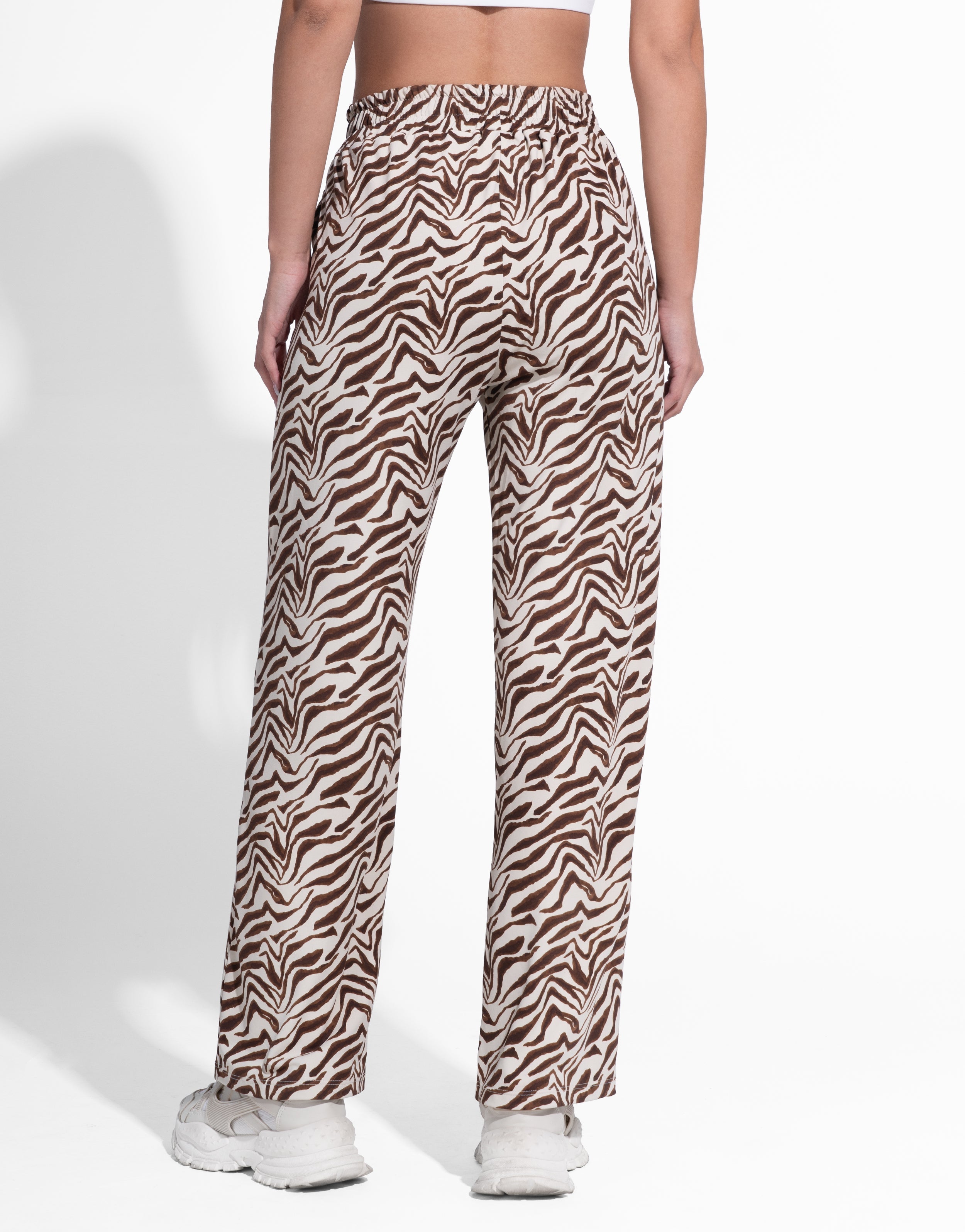 ZEBRA RECTO