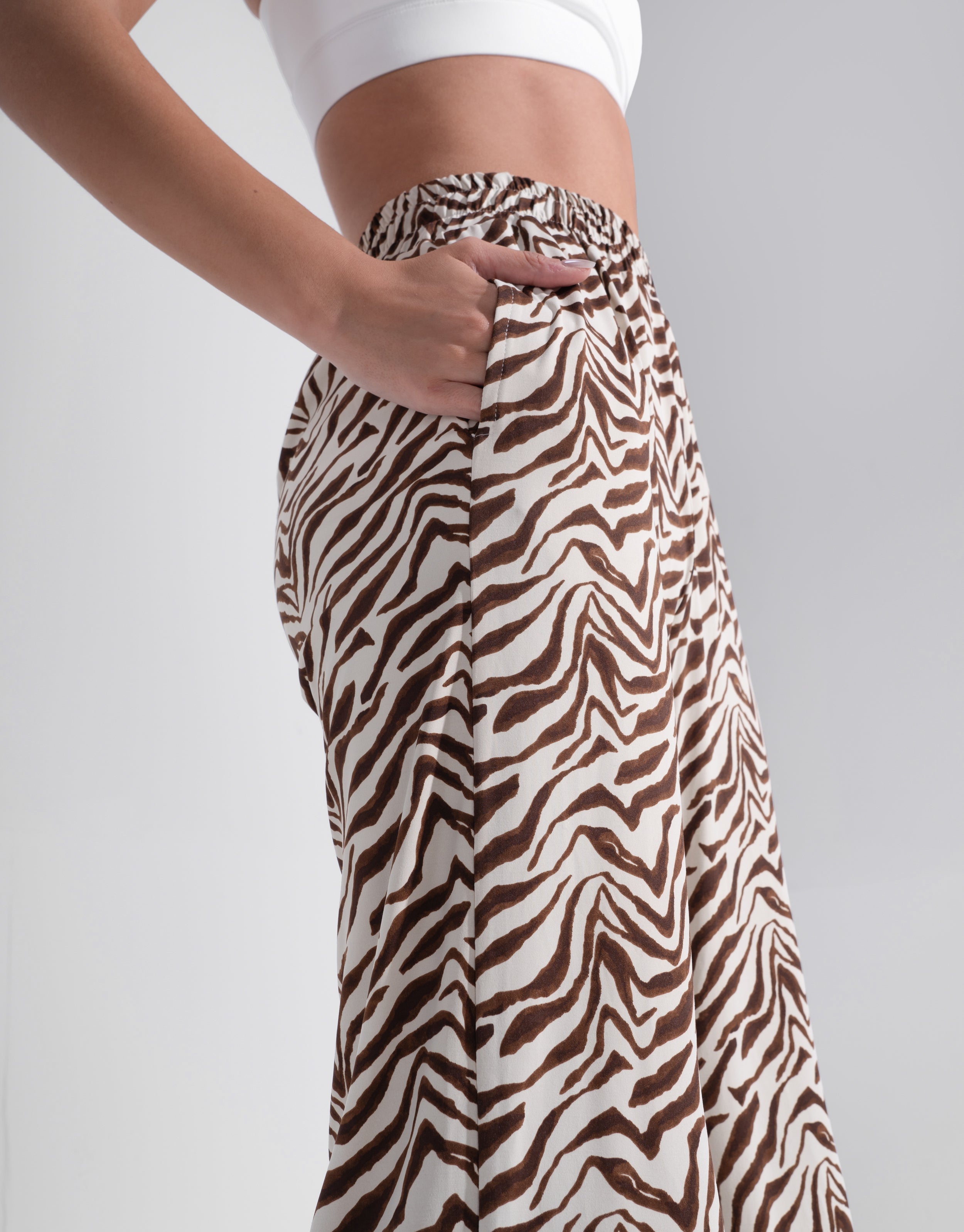 ZEBRA RECTO