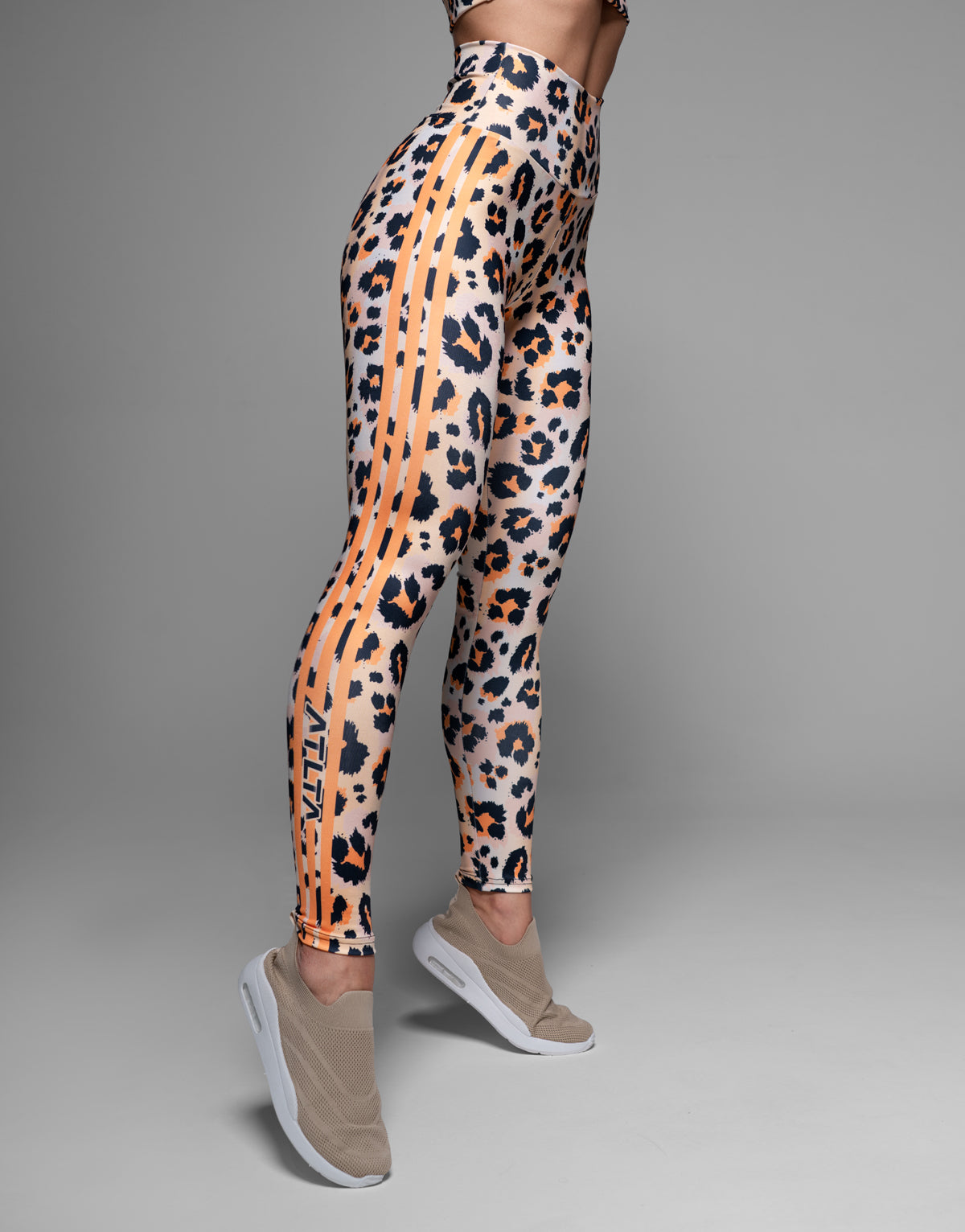 CHEETAH