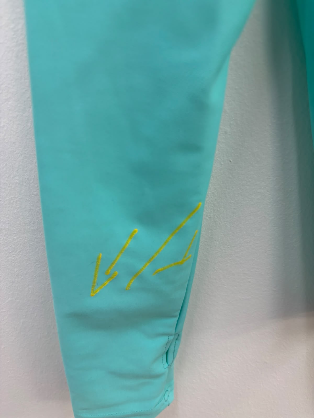TEAL BASIC HOODIE (FALLA)